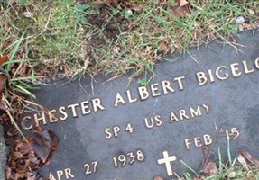Chester Albert Bigelow Chester Albert Bigelow