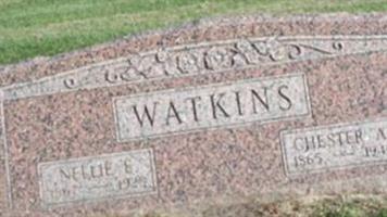 Chester Arthur Watkins