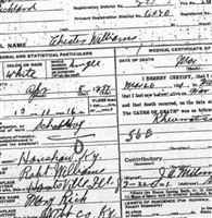 Chester Williams Chester Williams