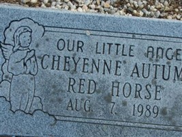 Cheyenne Autumn Red Horse
