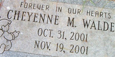 Cheyenne M. Walden