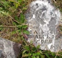 Chicora Waldrop Chicora Waldrop