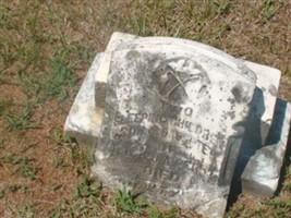 2 Children Of T.L And J.A. Perry