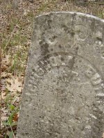 Chisholm Butler, Jr Chisholm Butler, Jr