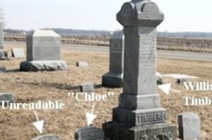 Chloe Timbers