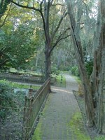 Christ Church Cemetery Christ Church Cemetery