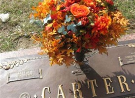 Christene V. Carter Christene V. Carter
