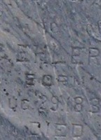 Christina Elnora Meier Ehlers