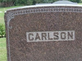 Christina M Carlson