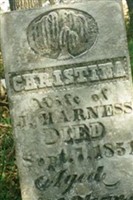 Christina Smith Harness