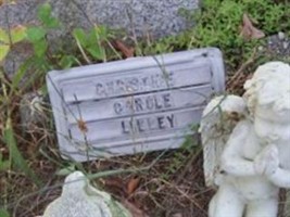 Christine Carole Lilley