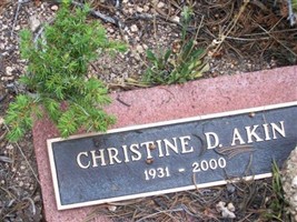 Christine D. Akin