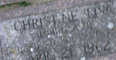 Christine lisa Cartwright