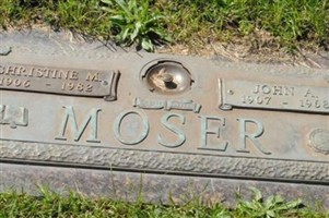 Christine M Moser Christine M Moser
