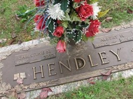 Christine N. Hendley Christine N. Hendley
