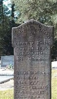Christopher Columbus Vining