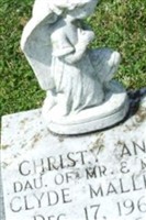 Christy Ann Mallett