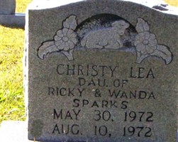 Christy Lea Sparks