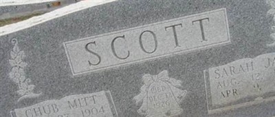 Chub Mitt Scott Chub Mitt Scott