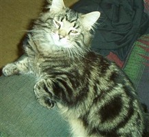 Chubby "Fuzzy Butt" Skaggs Chubby "Fuzzy Butt" Skaggs