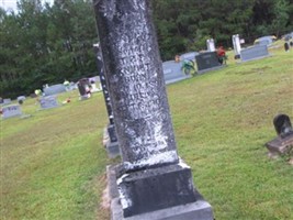 C. J. Knight