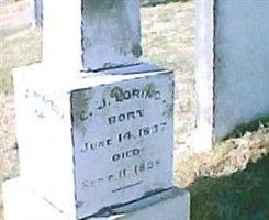 C J Loring
