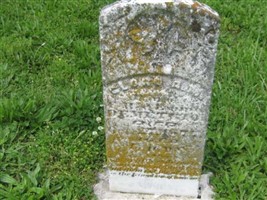 Clara A. M. Demetrio