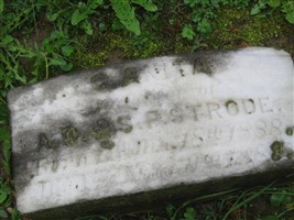 Clara Anita Strode Clara Anita Strode