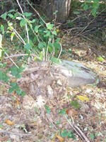 Clara Brookins Clara Brookins