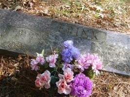Clara Catherine Frink