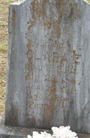 Clara E Bitner Clara E Bitner
