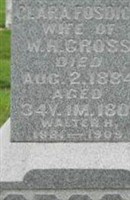 Clara Fosdick Gross Clara Fosdick Gross