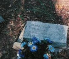 Clara Julia Rowlett