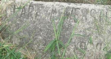 Clara M Webster (1864870.jpg)