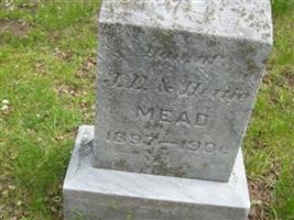 Clara Mead