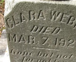 Clara Webbs Clara Webbs