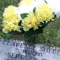 Clarence "Pelican" Sheets
