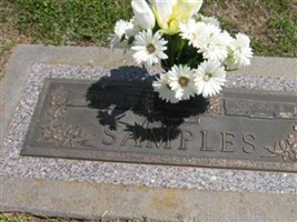 Clarice E. Samples