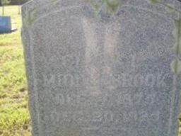 Clark L Middlebrook