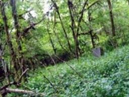 Claypool Cemetery