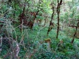 Claypool Cemetery