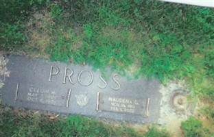 Cleon Milton Pross