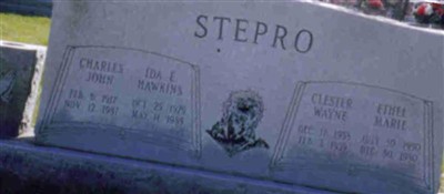 Clester Wayne Stepro Clester Wayne Stepro