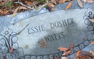 Cletestis Elaister Dosher Watts Cletestis Elaister Dosher Watts