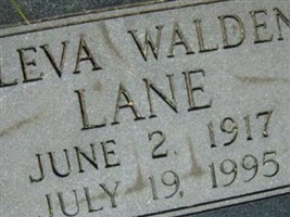 Cleva Walden Lane