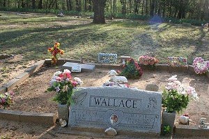 Cleve Wallace