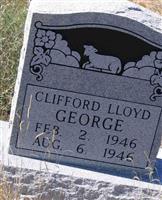 Clifford Lloyd George (1891012.jpg)