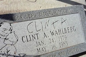 Clint A Wahlberg