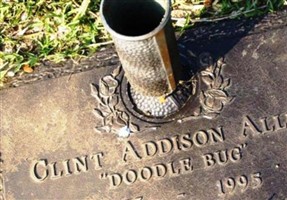 Clint Addison "Doodle Bug" Allen, Jr Clint Addison "Doodle Bug" Allen, Jr
