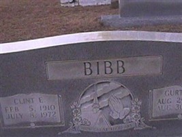 Clint E. Bibb